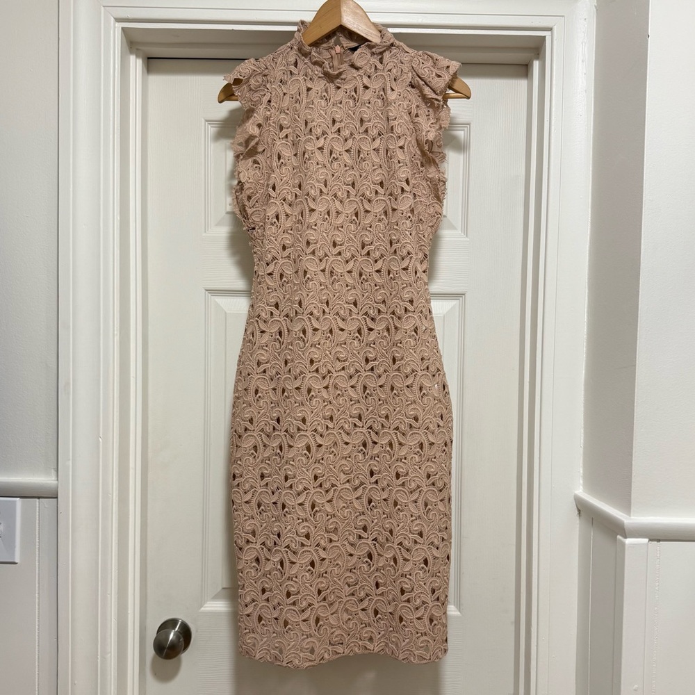 Zara Sleeveless Lace Sheath Dress in Blush Medium
